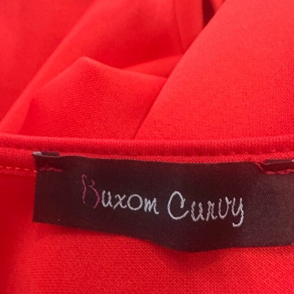 BUXOM CURVY RED STRETCHY MAXI DRESS- PRELOVED - 2X - Picture 5 of 6